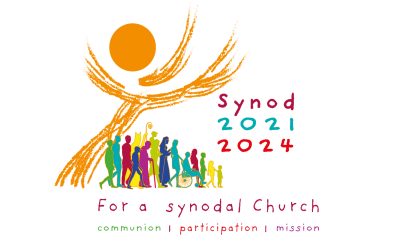 Synod Update…