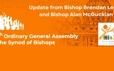 Update from Bishop Brendan Leahy and Bishop Alan McGuckian
