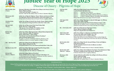 Diocesan Programme for the Jubilee Year of Hope
