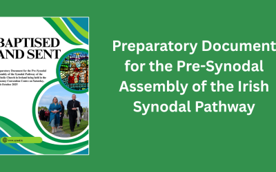 Pre-Synodal Assembly of the Synodal Pathway