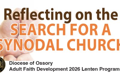Search for a Synodal Church